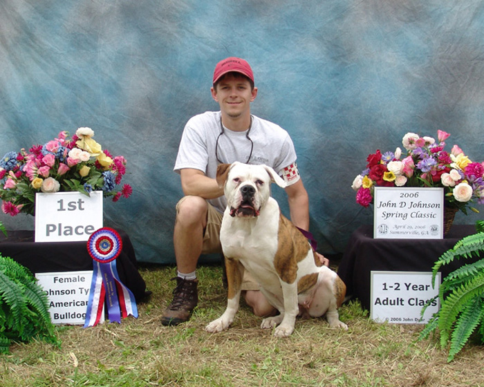 john d johnson american bulldog