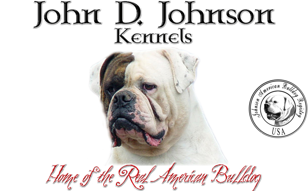 john d johnson american bulldog